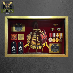 mini pacestick cases